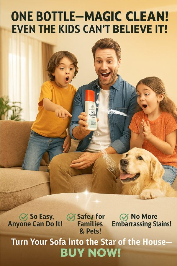 sofa cleaner